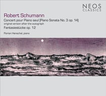 Concerto pour piano seul, fantaisiestucke op.12