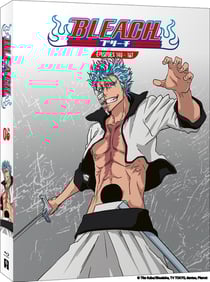 Bleach - Partie 6