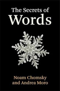 The secrets of words