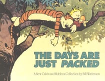 THE DAYS ARE JUST PACKED - CALVIN & HOBBES