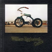 William eggleston's guide