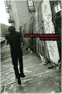 Ronnie farley diary of a pedestrian a new york photo memoir