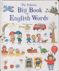 The usborne big book of english words