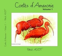 Contes d'Amazonie t.1