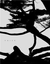 Voice