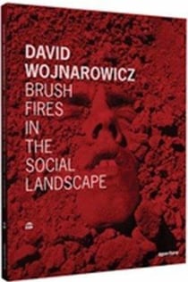 David wojnarowicz brush fires in the social landscape