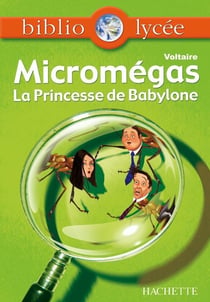 Micromégas - la princesse de Babylone