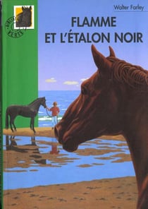 Flamme et l'Étalon Noir
