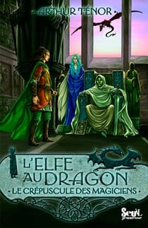 Elfe au dragon Tome 6 - le crépuscule des mages