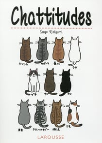 Chattitudes