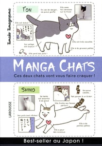 Manga chats