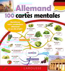 L'allemand en 100 cartes mentales