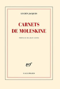 Carnets de moleskine