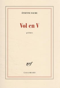 Vol en V