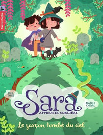 Sara apprentie sorcière Tome 1 - le garçon tombé du ciel