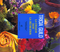 La couleur dans la decoration