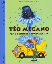Teo mecano - une terrible innondation
