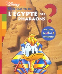 Que sais-tu de l'egypte des pharaons ?