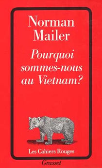 Pourquoi sommes-nous au vietnam