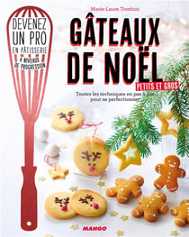 Gateaux de noël - toutes les techniques en pas à pas pour se perfectionner
