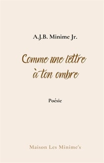 Comme une lettre à ton ombre : carnets