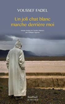Un joli chat blanc marche derriere moi