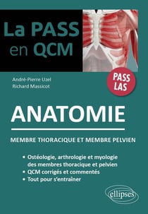 QCM d'anatomie : membre thoracique et membre pelvien