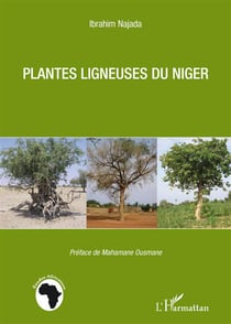 Plantes ligneuses du niger