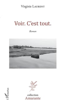 Voir c'est tout