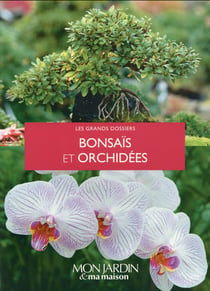 Bonsaïs et orchidées