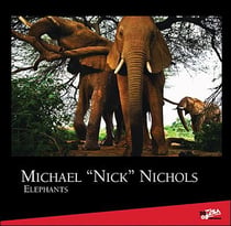 Elephants