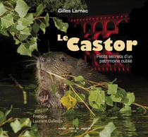 Le retour du castor