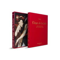 Éloge de la folie illustré par les peintres de la Renaissance du Nord