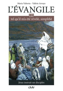 L'Evangile tel qu´il m´a été révélé, simplifié Tome 3 - Jésus instruit ses disciples