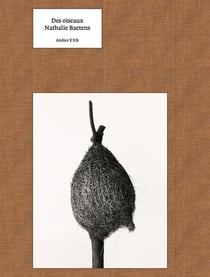 Des oiseaux : Nathalie Baetens (version anglaise)