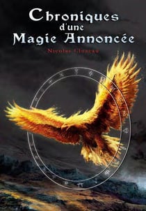 Chroniques d'une magie annoncée