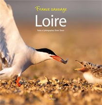 Loire