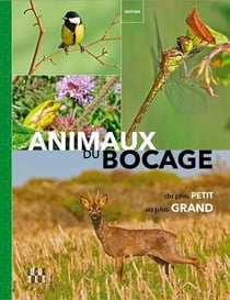 Animaux du bocage - du plus petit au plus grand