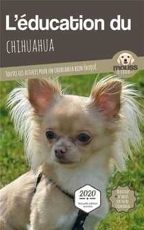 L'éducation du Chihuahua : toutes les astuces pour un Chihuahua bien éduqué