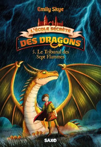 L'École secrète des dragons Tome 5 : Le Tribunal des Sept Flammes