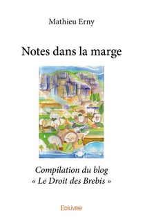 Notes dans la marge