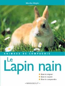 Animaux de compagnie : le lapin nain