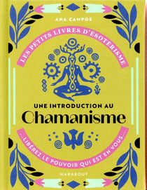 Les petits livres d'ésotérisme : une introduction à l'interprétation du chamanisme - libérez le pouvoir qui est en vous
