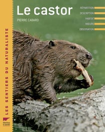 Le castor