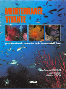 Mediterranee vivante