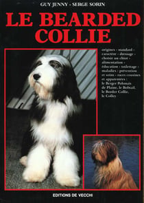 Bearded collie
