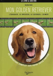 Mon golden retriever