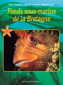 Fonds sous-marins de la bretagne
