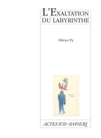 L'exaltation du labyrinthe