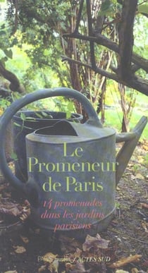 Le promeneur de Paris